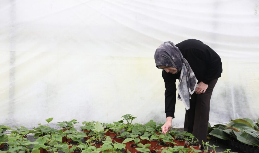 SAMSUN (AA) – Samsun'un Bafra ilçesinde ev hanımıyken Büyükşehir Belediyesinin