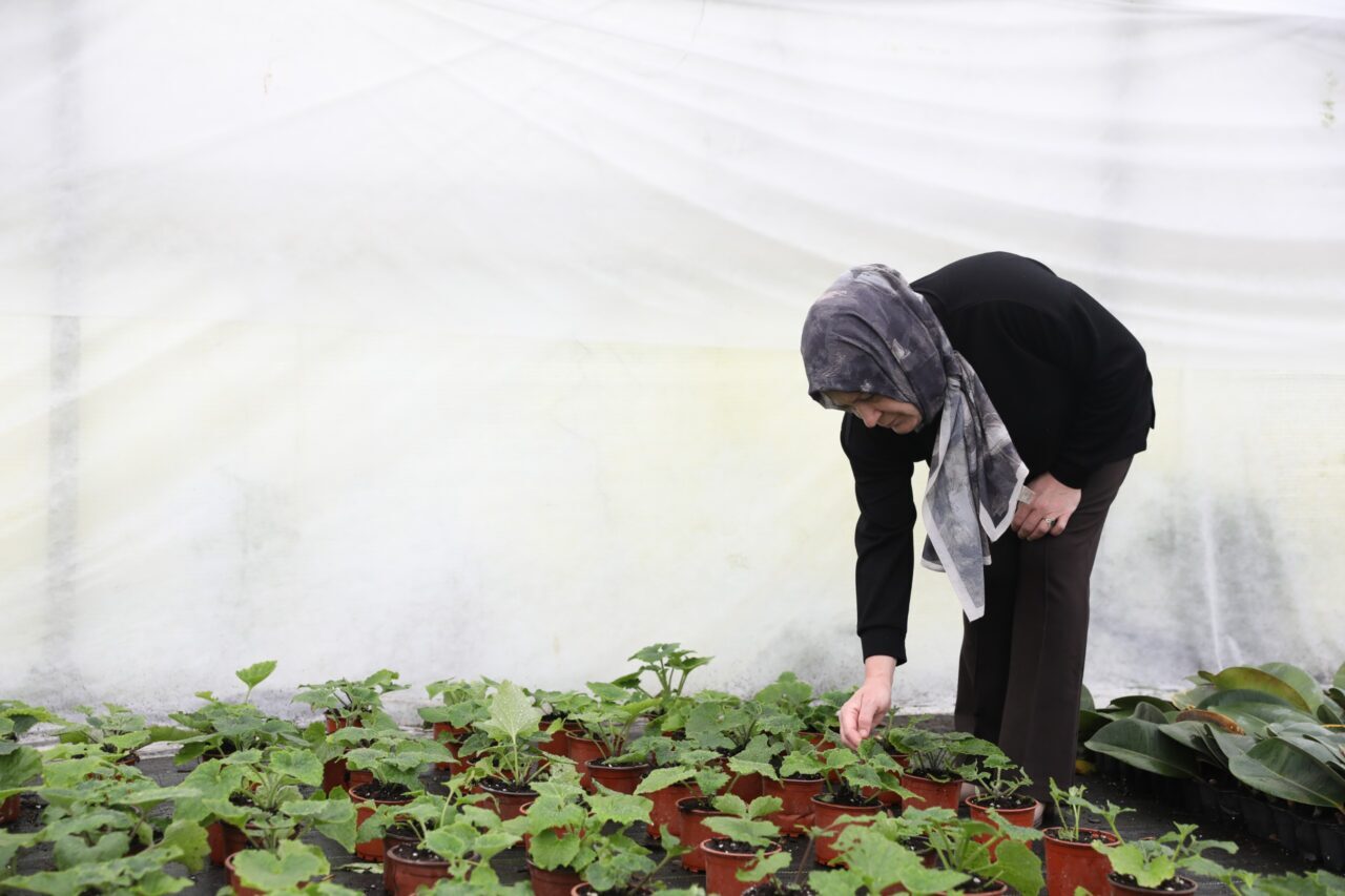 SAMSUN (AA) – Samsun'un Bafra ilçesinde ev hanımıyken Büyükşehir Belediyesinin
