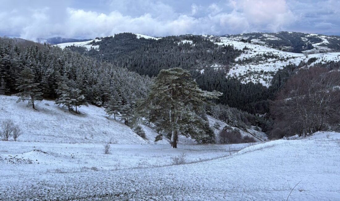 SAMSUN (AA) – Samsun'un Alaçam ilçesinde nisan ayında kar yağışı
