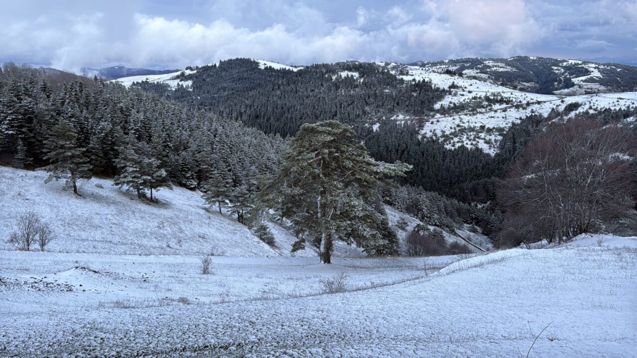 SAMSUN (AA) – Samsun'un Alaçam ilçesinde nisan ayında kar yağışı