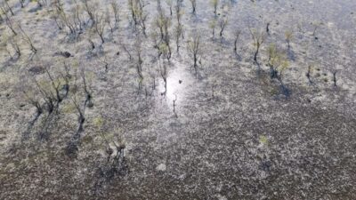 SAMSUN (AA) – Samsun'un Alaçam ilçesine bağlı Doyran Mahallesi'nde su