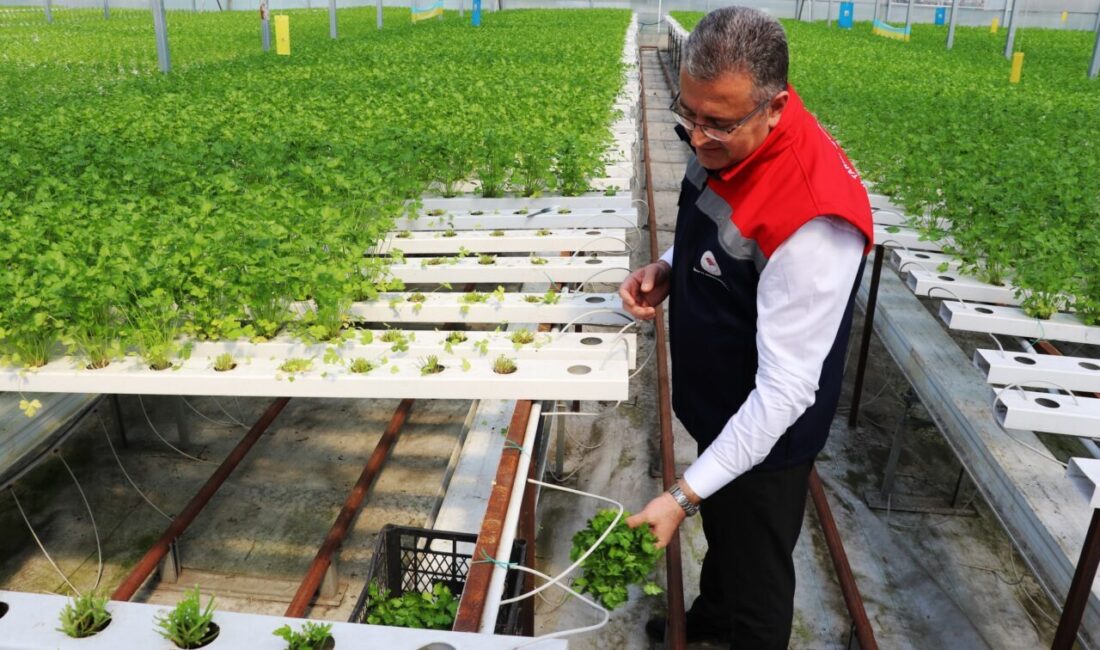 SAMSUN (AA) – Tarımda pestisit kullanımının engellenmesine yönelik Entegre ve