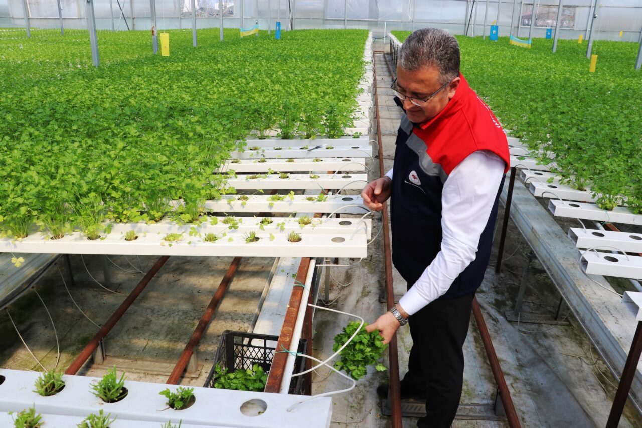 SAMSUN (AA) – Tarımda pestisit kullanımının engellenmesine yönelik Entegre ve