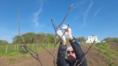 SAMSUN (AA) – Samsun'un Bafra ilçesinde, Birleşmiş Milletler Küresel Çevre