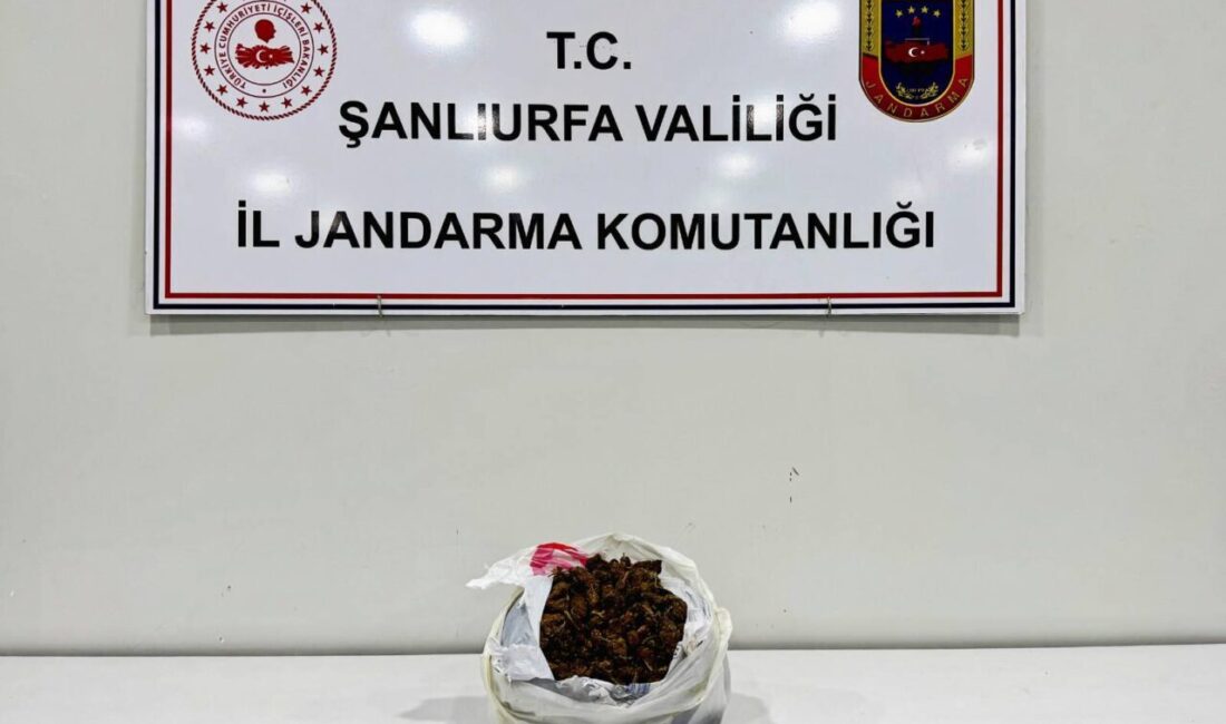 ŞANLIURFA (AA) – Şanlıurfa'nın Viranşehir ilçesinde durdurulan araçta 1 kilogram
