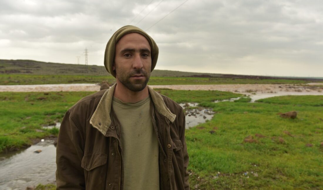 ŞANLIURFA (AA) – Şanlıurfa'nın Siverek ilçesinde debisi aniden yükselen derede