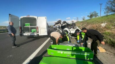 ŞANLIURFA (AA) – Şanlıurfa'nın Birecik ilçesinde hafif ticari araç ile