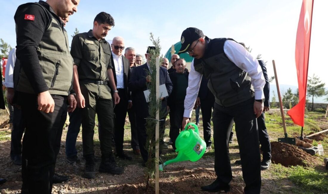 SİİRT (AA) – Siirt'in Kurtalan ilçesinde 1000 fidan toprakla buluşturuldu.