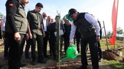 SİİRT (AA) – Siirt'in Kurtalan ilçesinde 1000 fidan toprakla buluşturuldu.