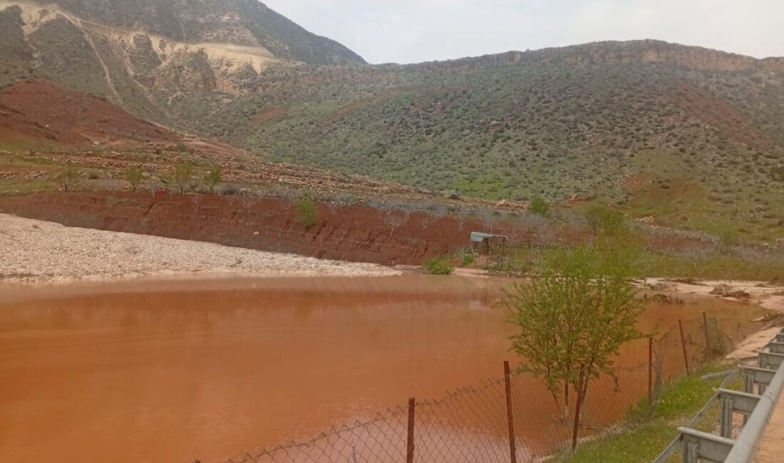 SİİRT (AA) – Siirt'te sağanak nedeniyle tarımsal alanda oluşan hasarların