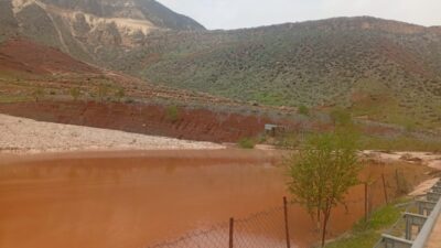 SİİRT (AA) – Siirt'te sağanak nedeniyle tarımsal alanda oluşan hasarların