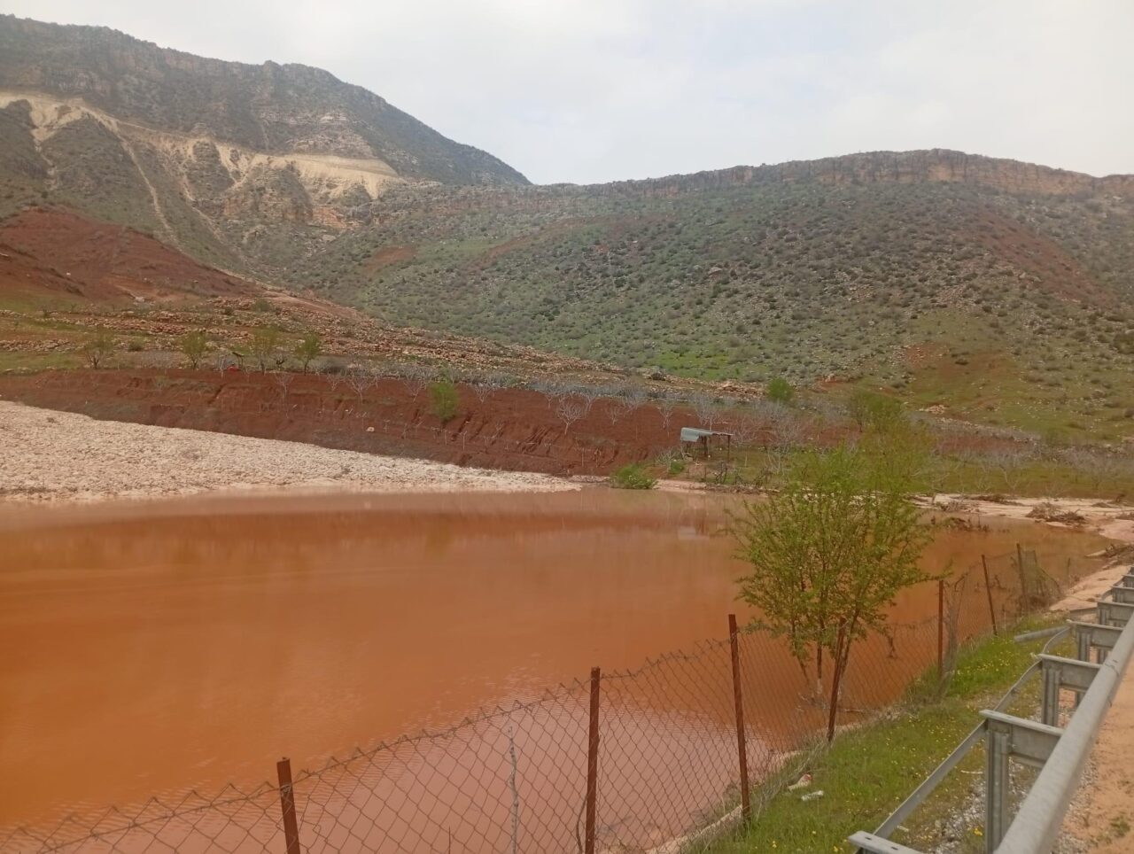 SİİRT (AA) – Siirt'te sağanak nedeniyle tarımsal alanda oluşan hasarların