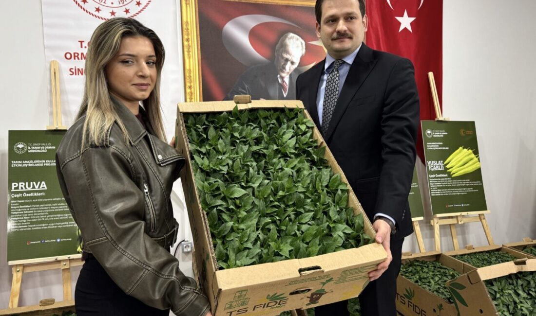 SİNOP (AA) – Sinop'ta Tarım ve Orman Bakanlığınca yürütülen "Tarım