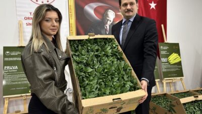SİNOP (AA) – Sinop'ta Tarım ve Orman Bakanlığınca yürütülen "Tarım