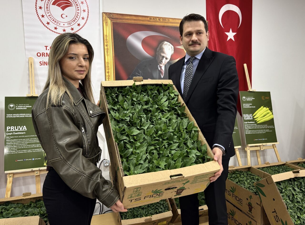 SİNOP (AA) – Sinop'ta Tarım ve Orman Bakanlığınca yürütülen "Tarım