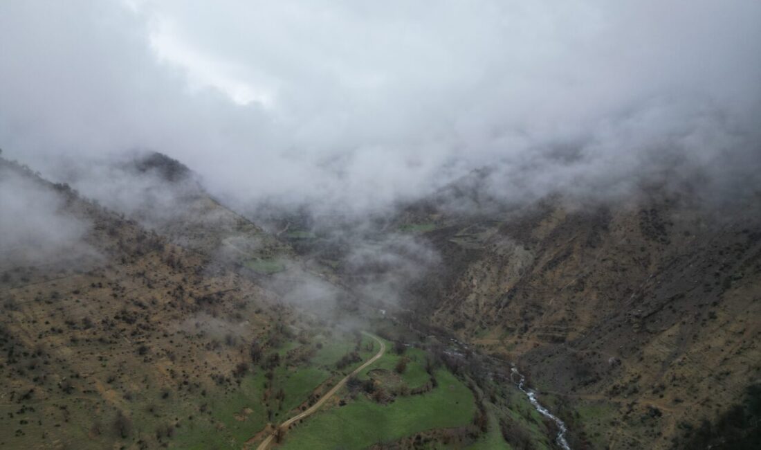 ŞIRNAK (AA) – Şırnak'ın Uludere ilçesine bağlı Hilal beldesinin eski
