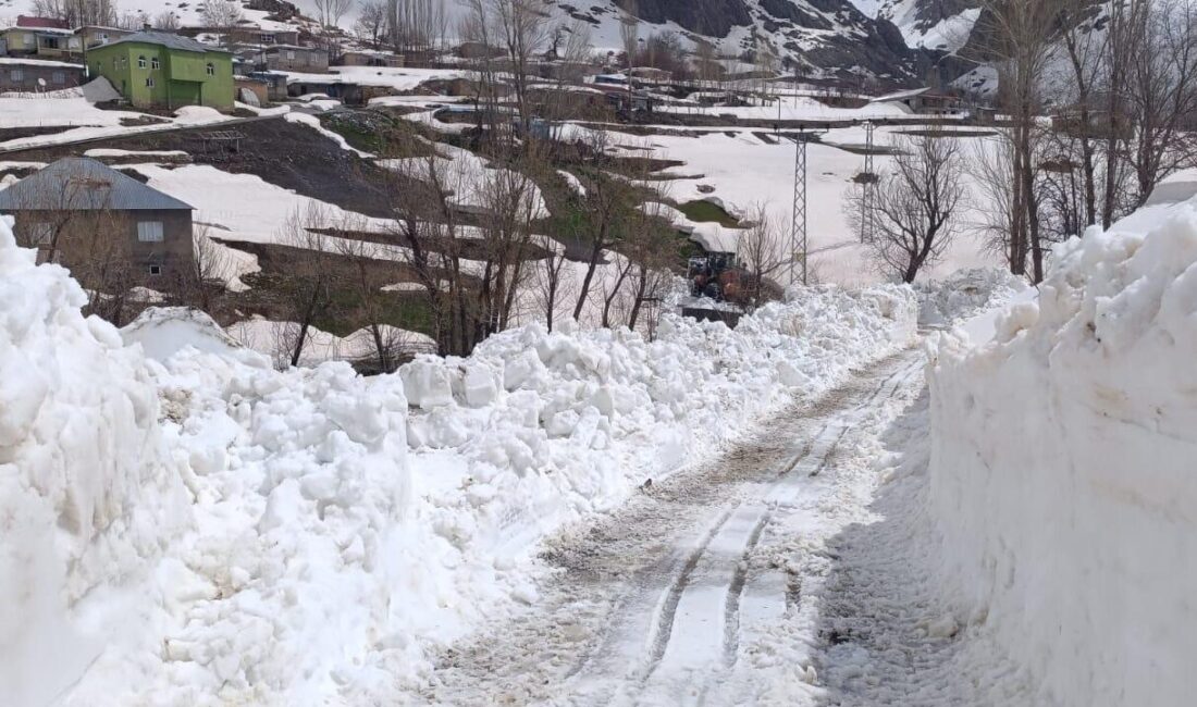 ŞIRNAK (AA) – Şırnak'ın Beytüşşebap ilçesinde kar kalınlığının 5 metreye