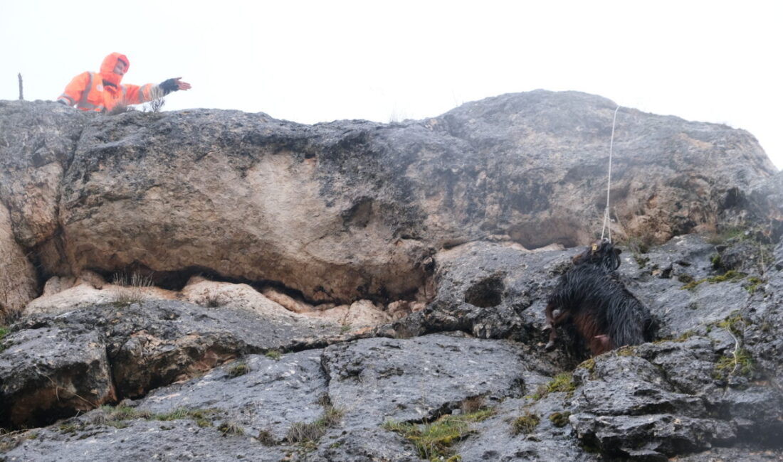 SİVAS (AA) – Sivas'ın Şarkışla ilçesinde kayalıklarda mahsur kalan keçi,
