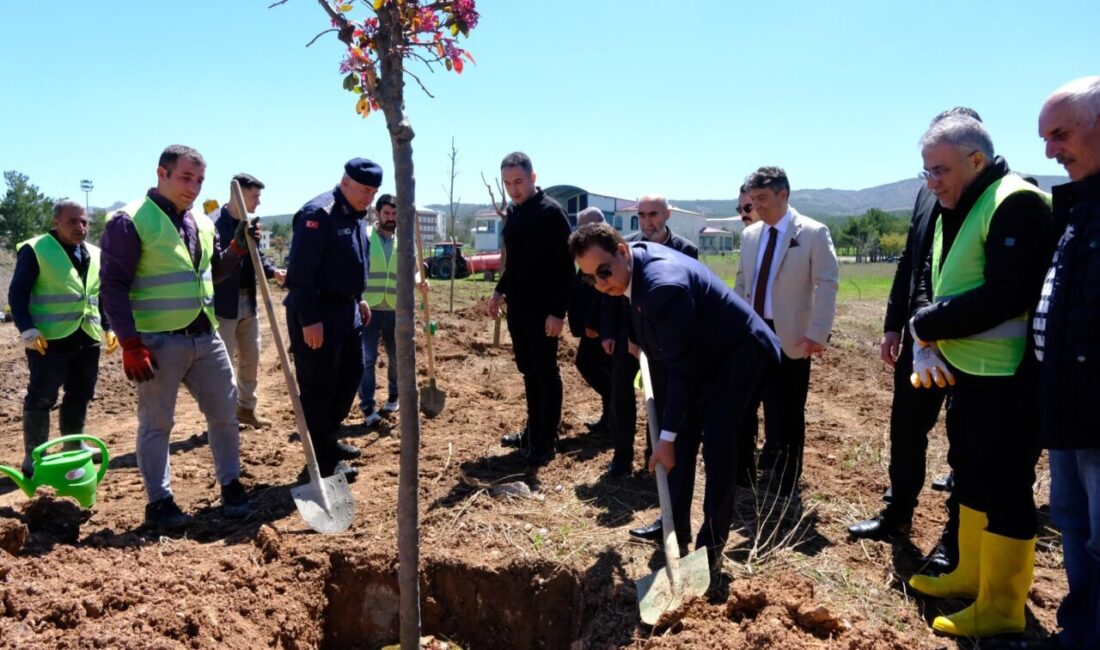 SİVAS (AA) – Sivas Cumhuriyet Üniversitesince (SCÜ) düzenlenen etkinlikte, şehitlerin