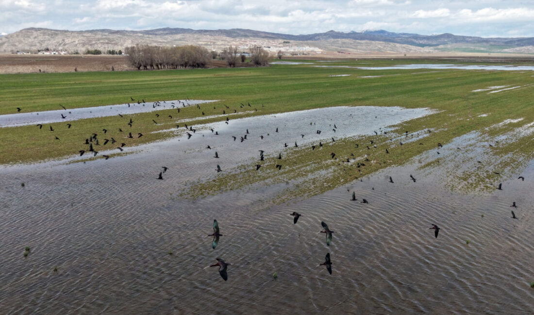 SİVAS (AA) – Sivas'ın Hafik ilçesinde, yoğun yağış ve kar