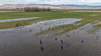 SİVAS (AA) – Sivas'ın Hafik ilçesinde, yoğun yağış ve kar