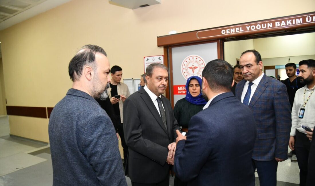 - Vali Şıldak:
- "Şu anda hastanelerde tedavileri devam etmekte olan