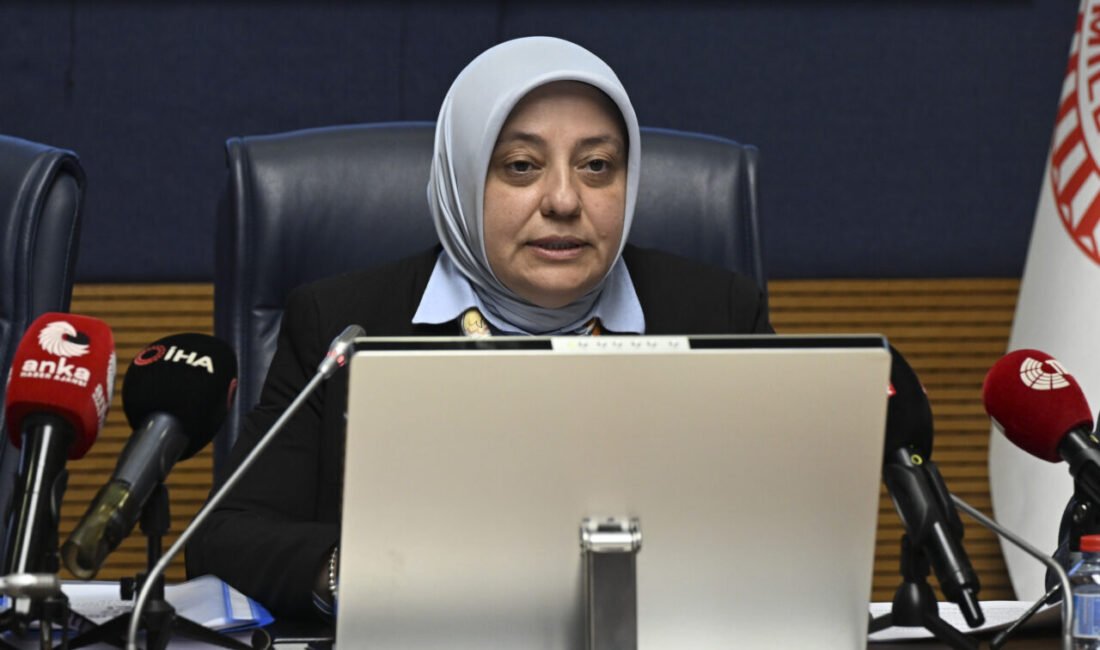 - Komisyonda, okullarda akran zorbalığına karşı alınacak önlemlere ilişkin hazırlanan