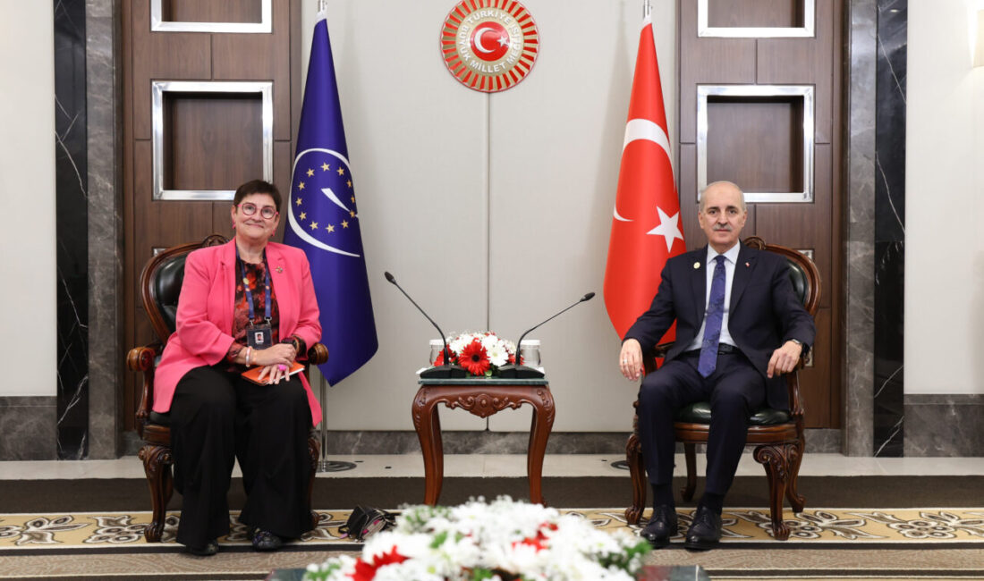 İSTANBUL (AA) – Türkiye Büyük Millet Meclisi (TBMM) Başkanı Numan