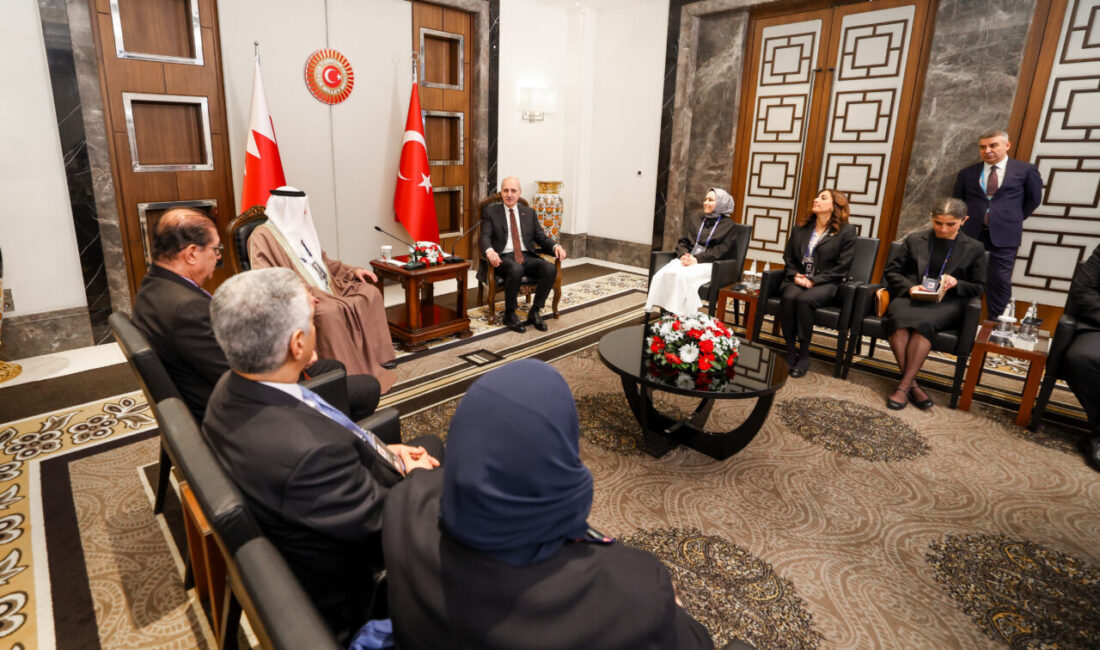 İSTANBUL (AA) – Türkiye Büyük Millet Meclisi (TBMM) Başkanı Numan