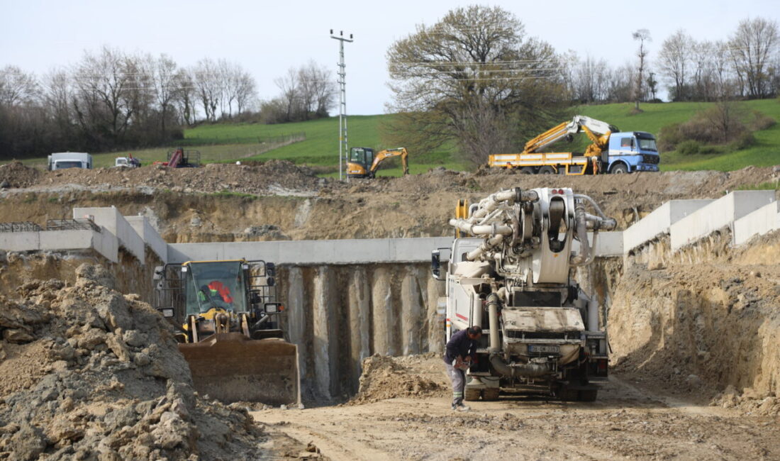 SAMSUN (AA) – TBMM Plan ve Bütçe Komisyonu Başkanı ve