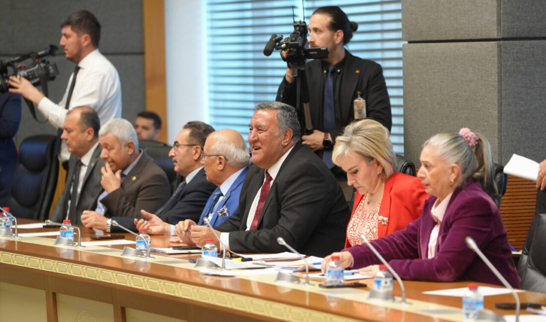 - İçişleri Bakan Danışmanı Ahmet Yavuz Karaca:
- "Ülke genelindeki sahipsiz