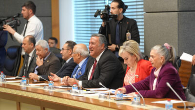 - İçişleri Bakan Danışmanı Ahmet Yavuz Karaca:
- "Ülke genelindeki sahipsiz