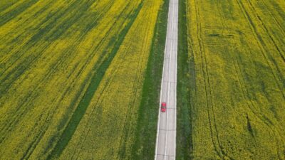 TEKİRDAĞ (AA) – Tekirdağ'da baharın gelişiyle birlikte çiçek açan ve