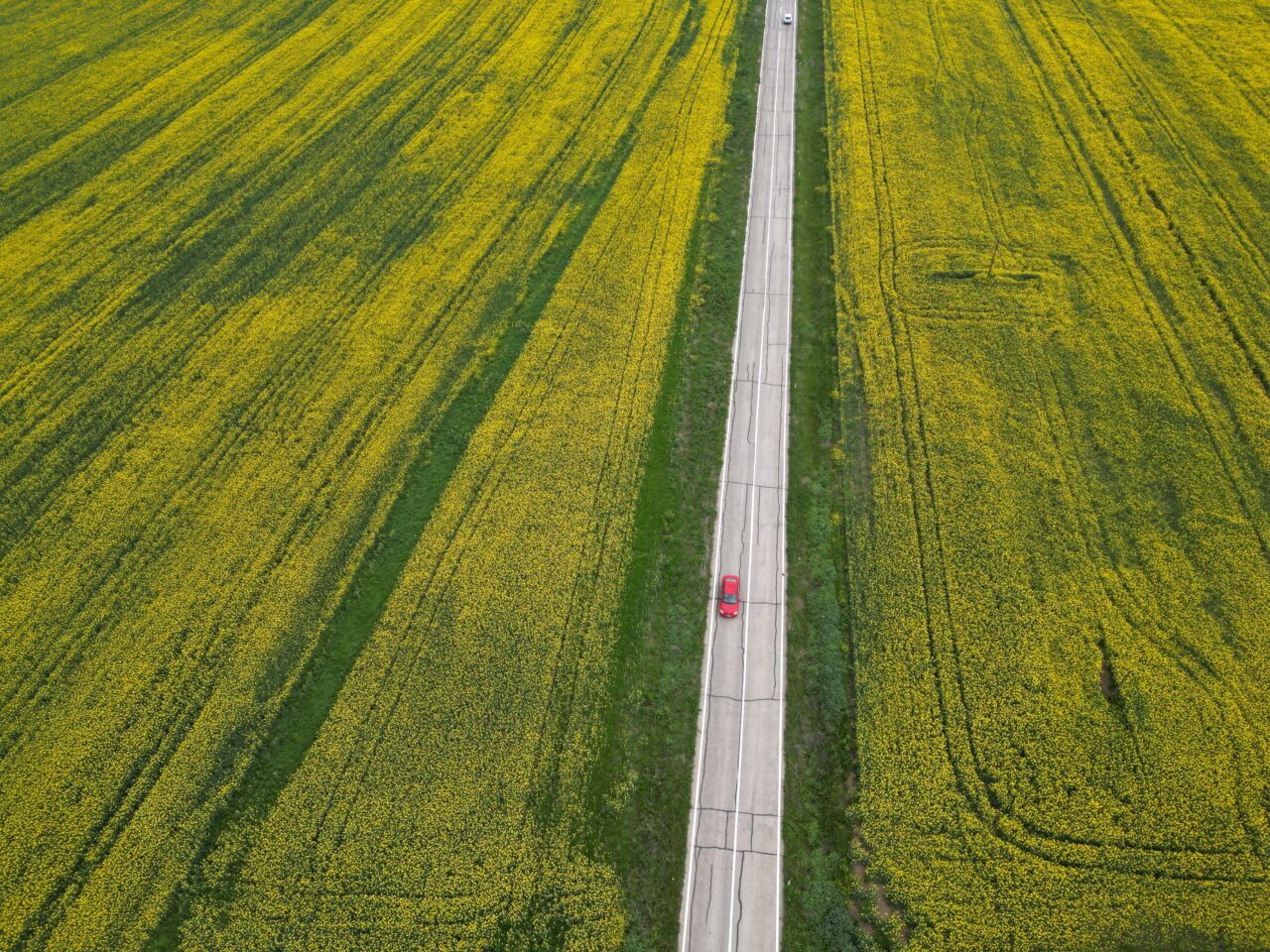 TEKİRDAĞ (AA) – Tekirdağ'da baharın gelişiyle birlikte çiçek açan ve