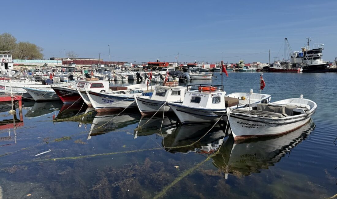TEKİRDAĞ (AA) – Tekirdağ'da av sezonunun 15 Nisan'da büyük tekneler