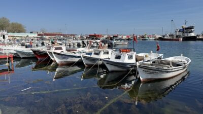 TEKİRDAĞ (AA) – Tekirdağ'da av sezonunun 15 Nisan'da büyük tekneler