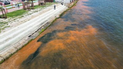 TEKİRDAĞ (AA) – Marmara Denizi'nin Tekirdağ sahilinde planktonların çoğalması, suyun