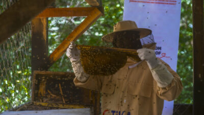 İSTANBUL (AA) – Türk İşbirliği ve Koordinasyon Ajansı Başkanlığı (TİKA),