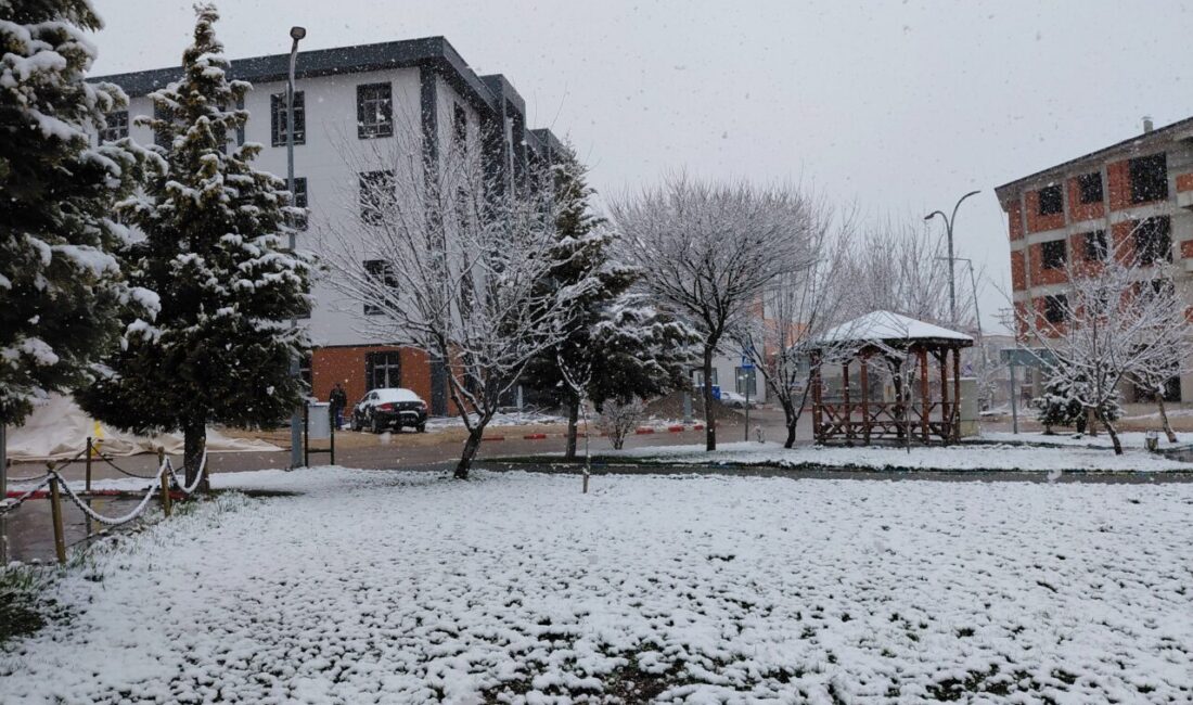 TOKAT (AA) – Tokat'ın 1450 rakımlı Başçiftlik ilçesinin yüksek kesimlerinde