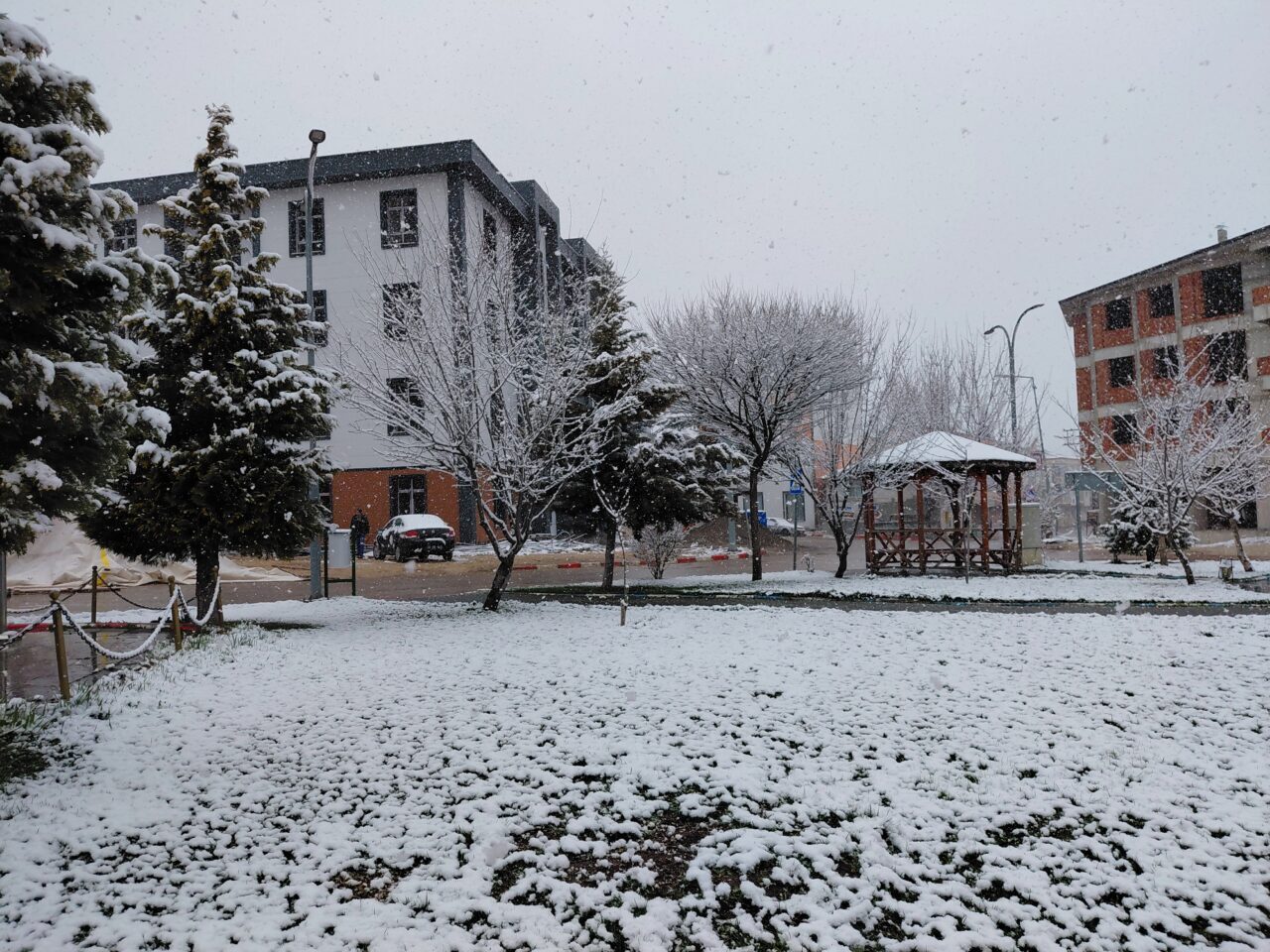 TOKAT (AA) – Tokat'ın 1450 rakımlı Başçiftlik ilçesinin yüksek kesimlerinde