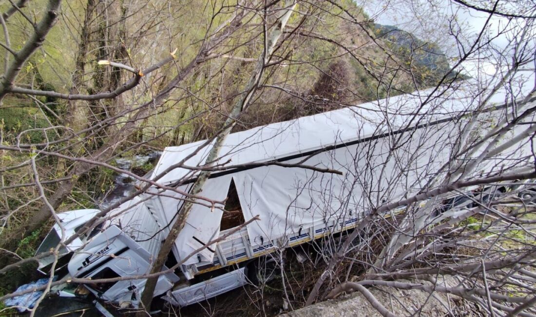 TOKAT (AA) – Tokat'ın Reşadiye ilçesinde büyükbaş hayvan taşıyan tırın