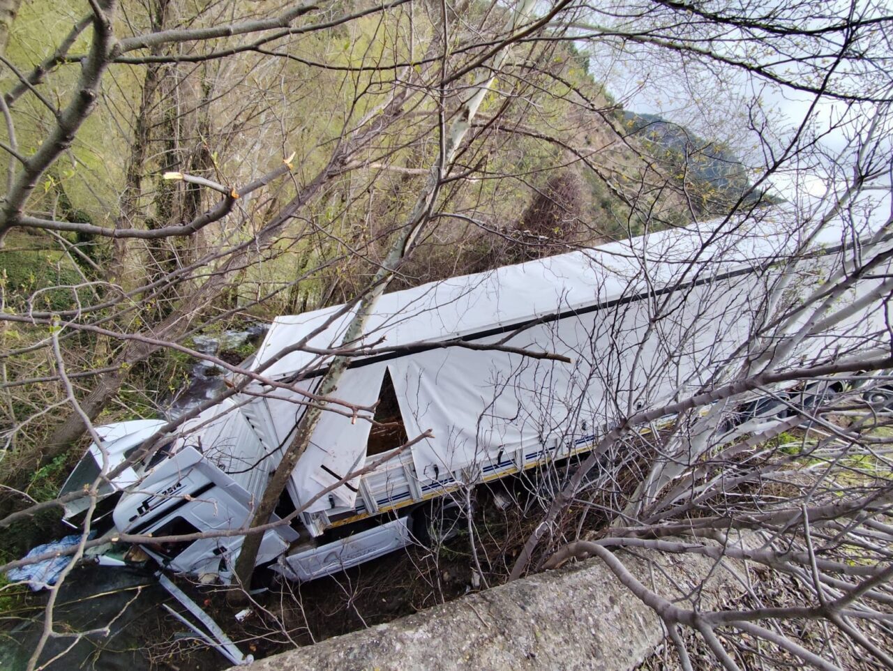 TOKAT (AA) – Tokat'ın Reşadiye ilçesinde büyükbaş hayvan taşıyan tırın