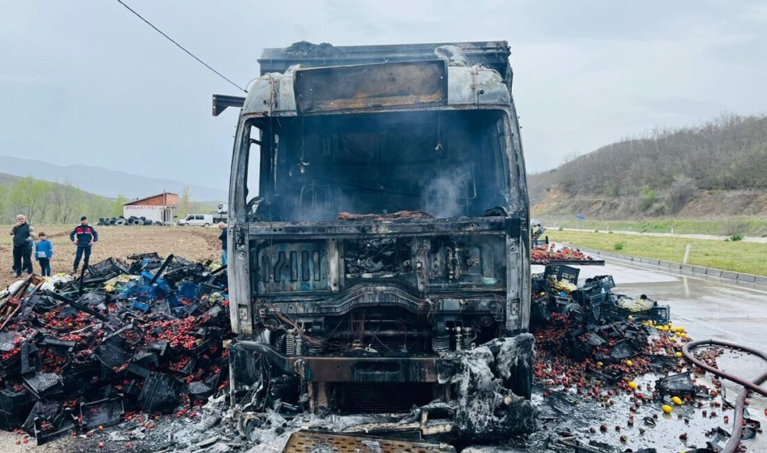 TOKAT (AA) – Tokat'ta çilek yüklü kamyonda çıkan yangın, itfaiye