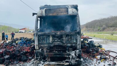 TOKAT (AA) – Tokat'ta çilek yüklü kamyonda çıkan yangın, itfaiye