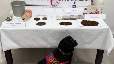 TOKAT (AA) – Tokat'ın Turhal ve Yeşilyurt ilçelerinde düzenlenen uyuşturucu