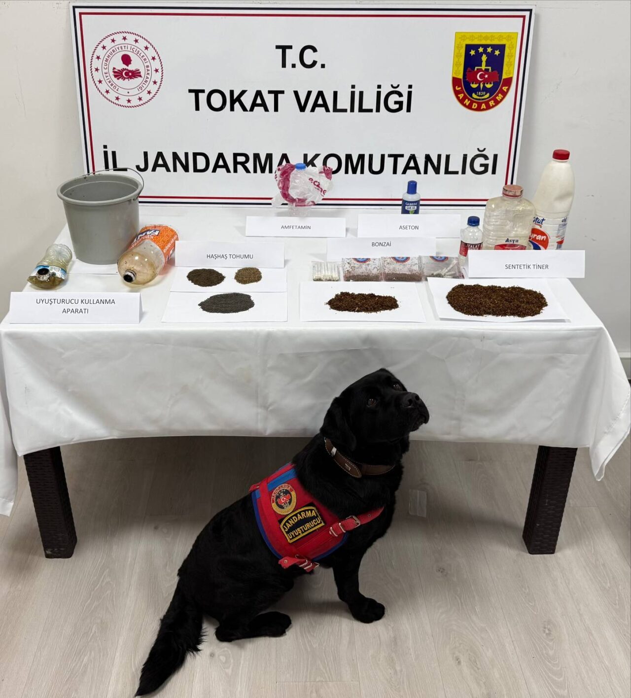 TOKAT (AA) – Tokat'ın Turhal ve Yeşilyurt ilçelerinde düzenlenen uyuşturucu