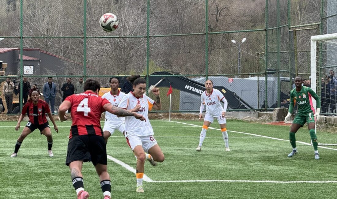 - Yüksekovaspor: 2 - Galatasaray GAİN: 1