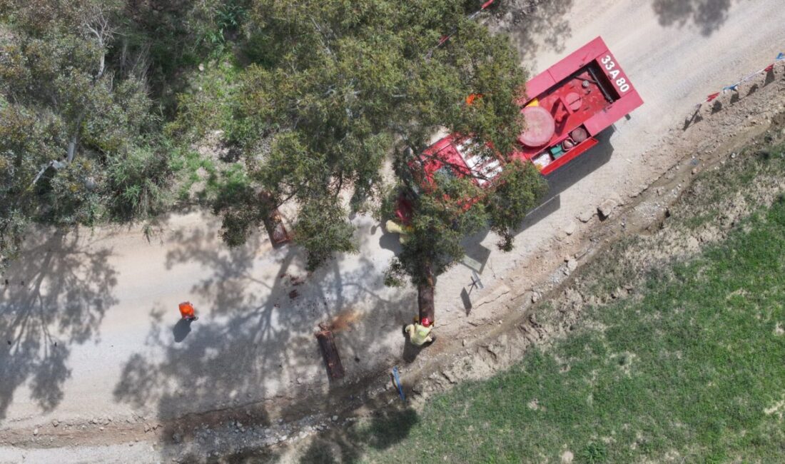 ADANA (AA) – Orman Genel Müdürlüğü tarafından bu yıl ilk