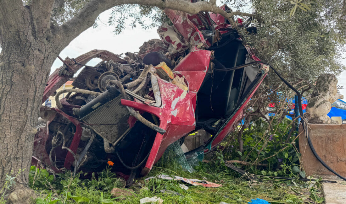 UŞAK (AA) – Uşak'ın Ulubey ilçesinde bir evin bahçe duvarına