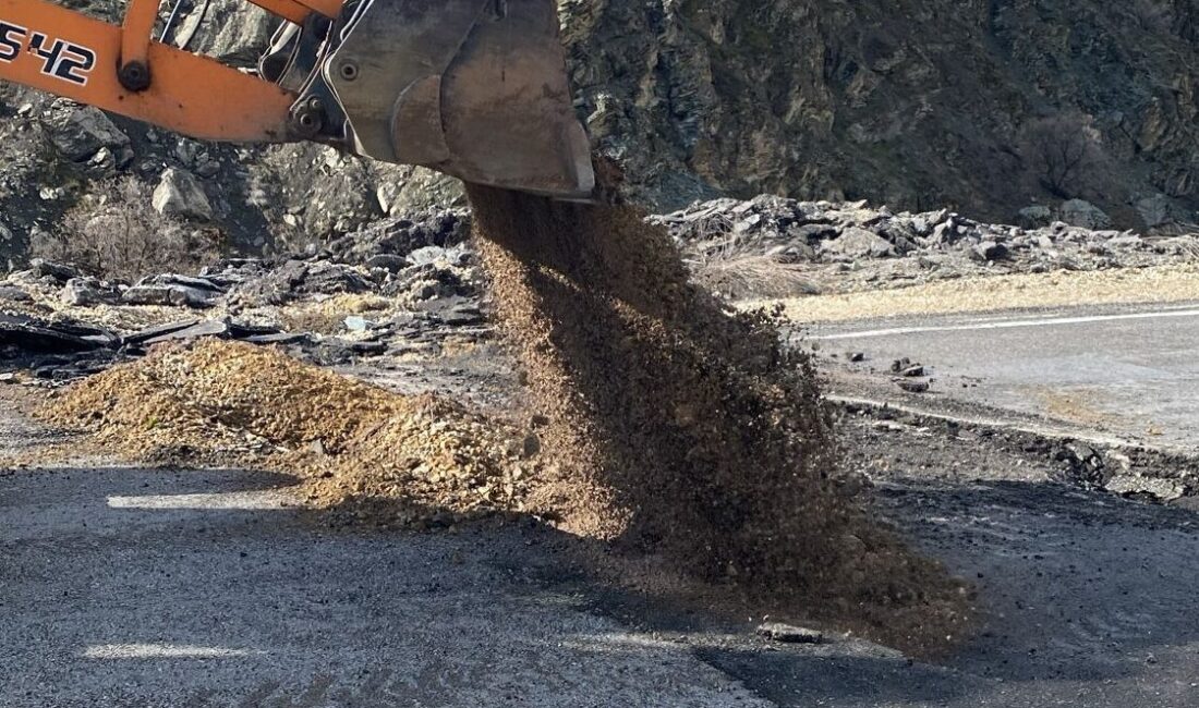 VAN (AA) – Van, Bitlis ve Muş'ta kar nedeniyle 147